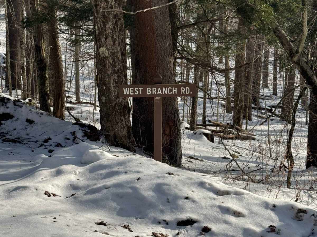 West Branch Road trail photo