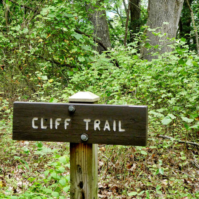 Glendening Walking Trails Aug 6, 2017 Near Orange Loop