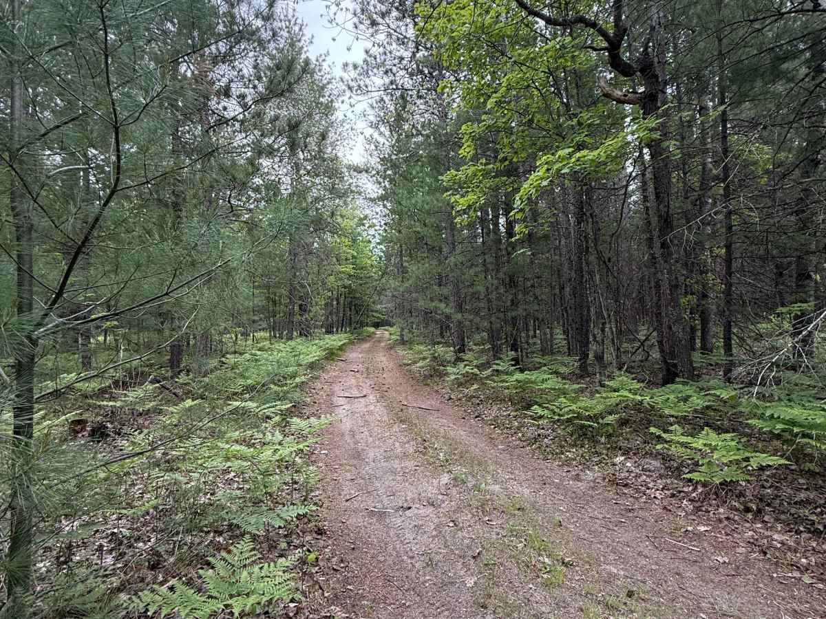 Deadwood Trail photo 4