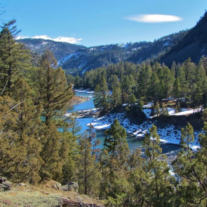 Near Blacktail Deer Creek Trail