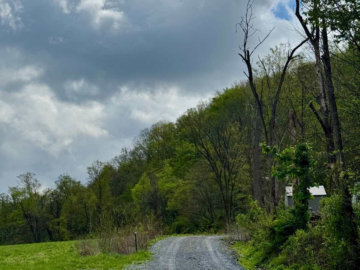 Corbin Road photo 2