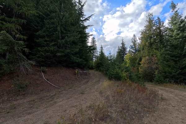 Ole Creek P - FS 1092P