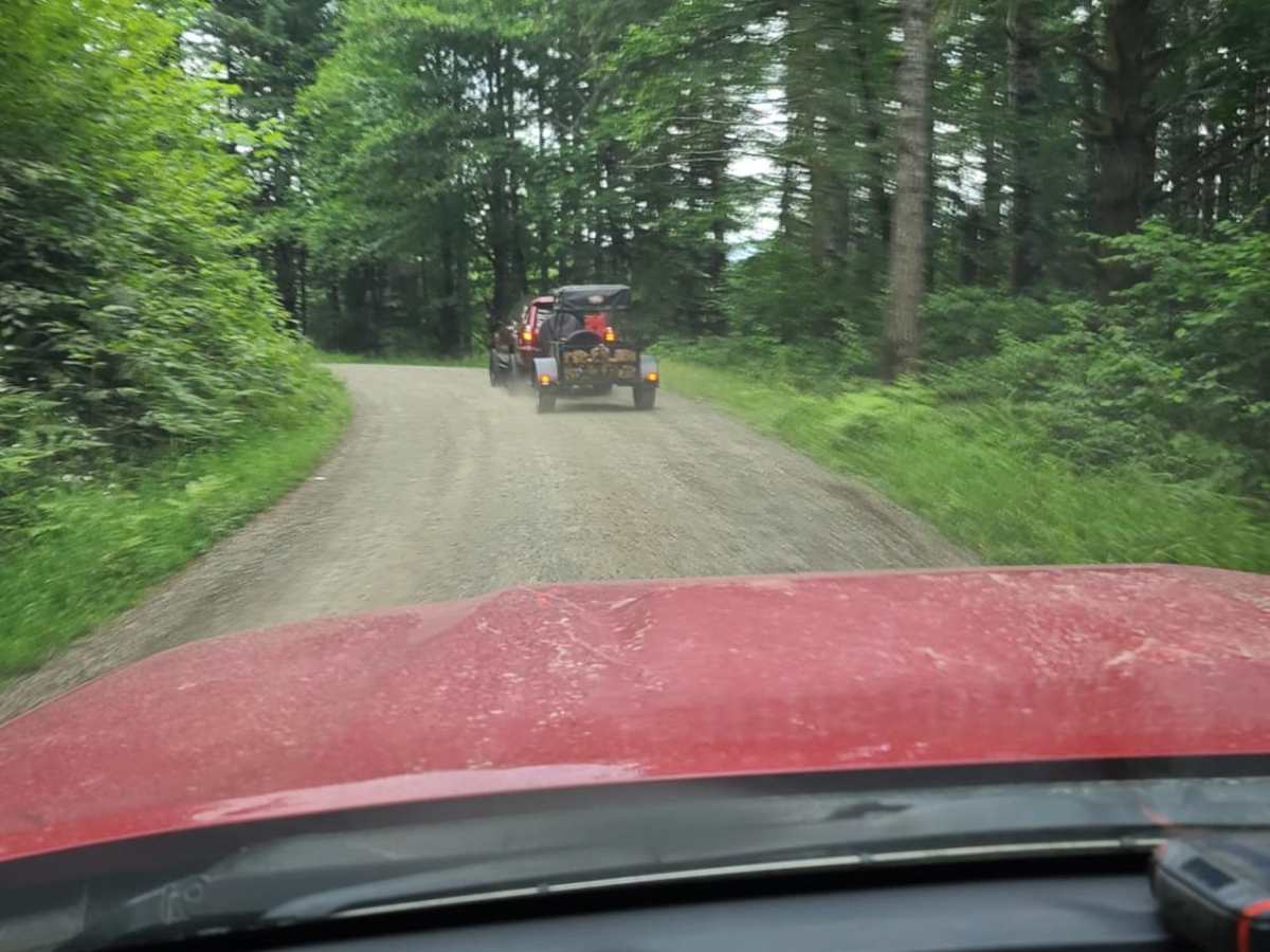 Cook Creek Road photo 2