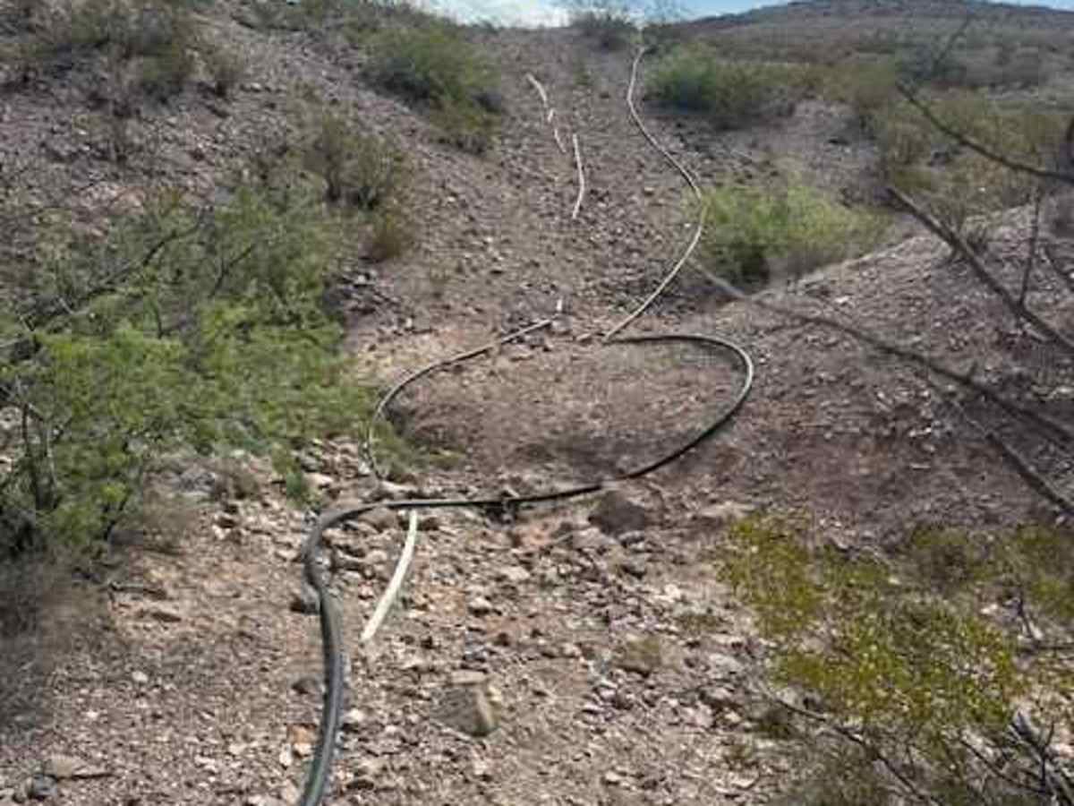 BLM PE1221 photo 6