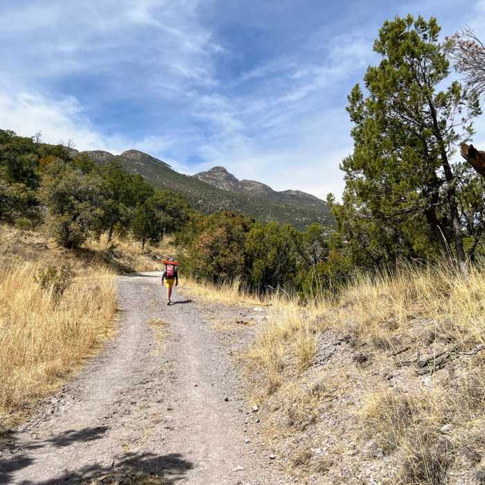 Near Walker Basin Loop