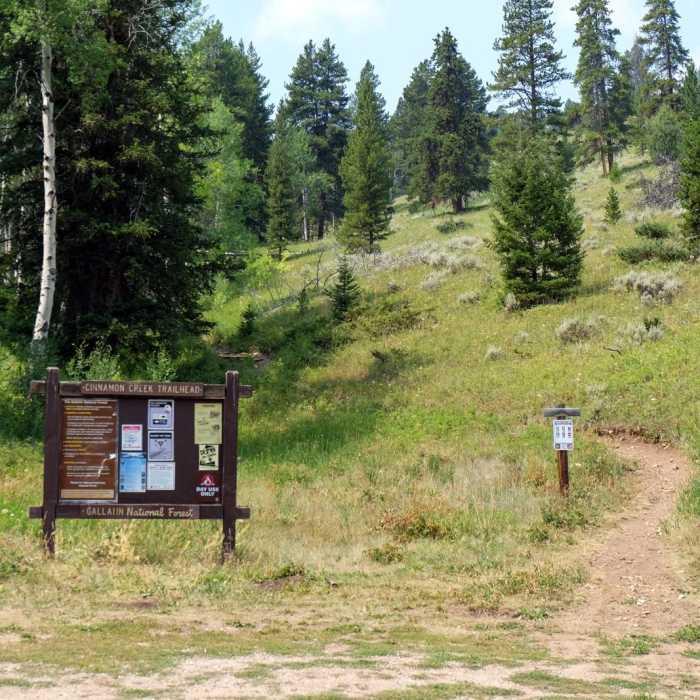 Near Cinnamon Mountain Lookout