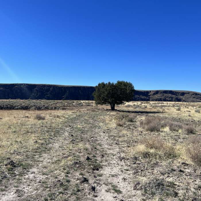 Near Fenwick Ranch Road to Three Forks Recreation Site Near Fenwick Ranch Road to Three Forks Recreation Site