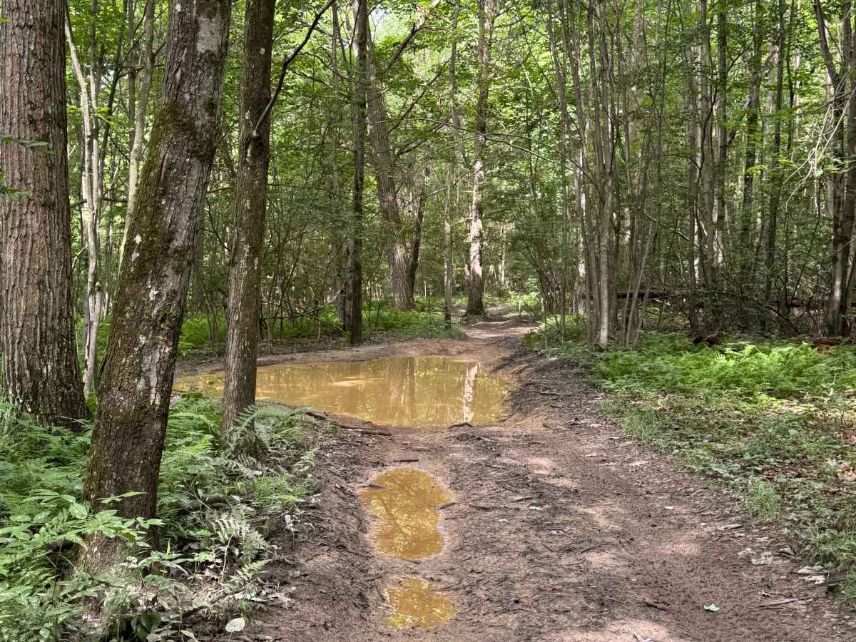 Trail 19 photo 5