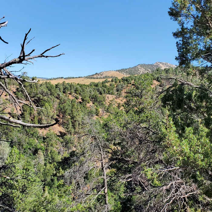 Pautsky point in the far distance. Near South Rim Trail