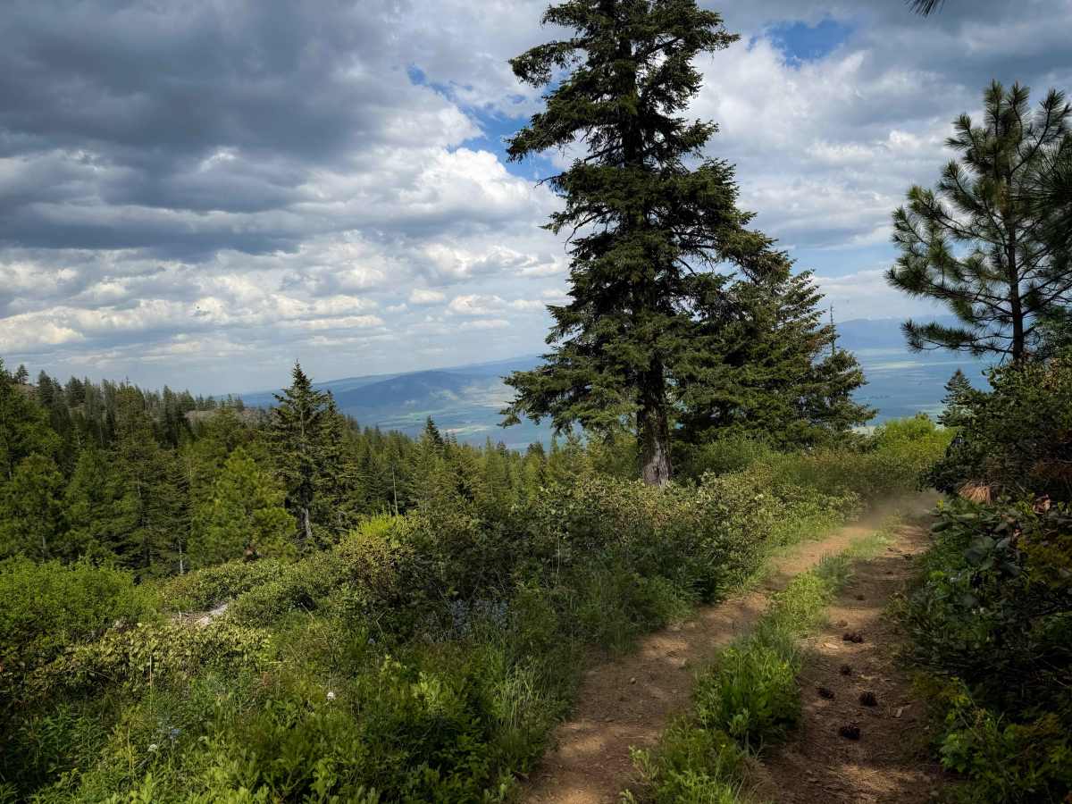 Upside - Trail 490  photo 4
