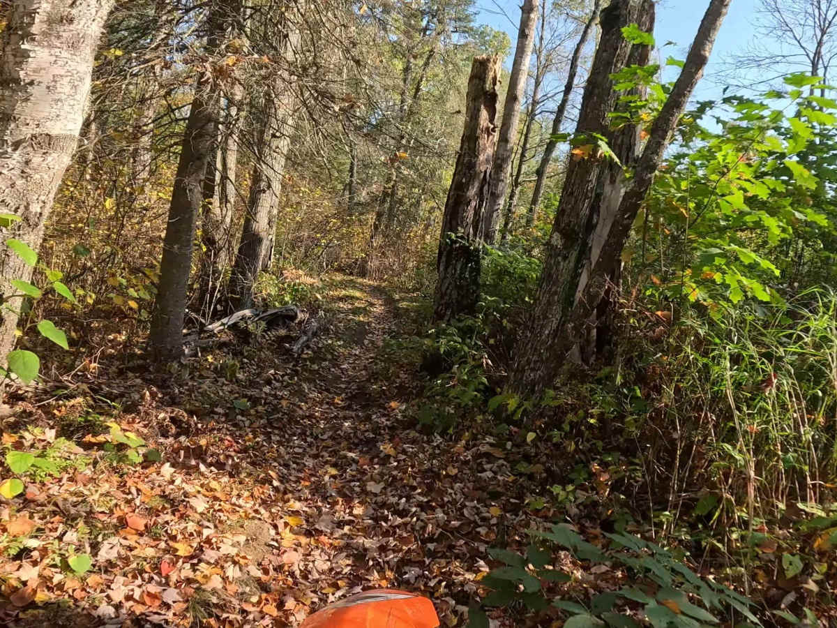 Tamarack Straight Arrow Blue Trail  photo 2