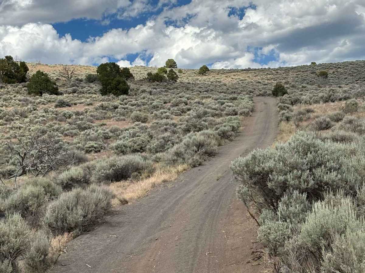 No Name Hill photo 6