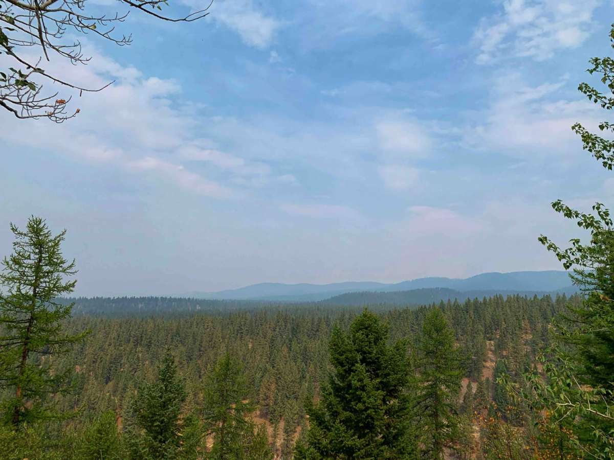 Ambrose Trail photo 4