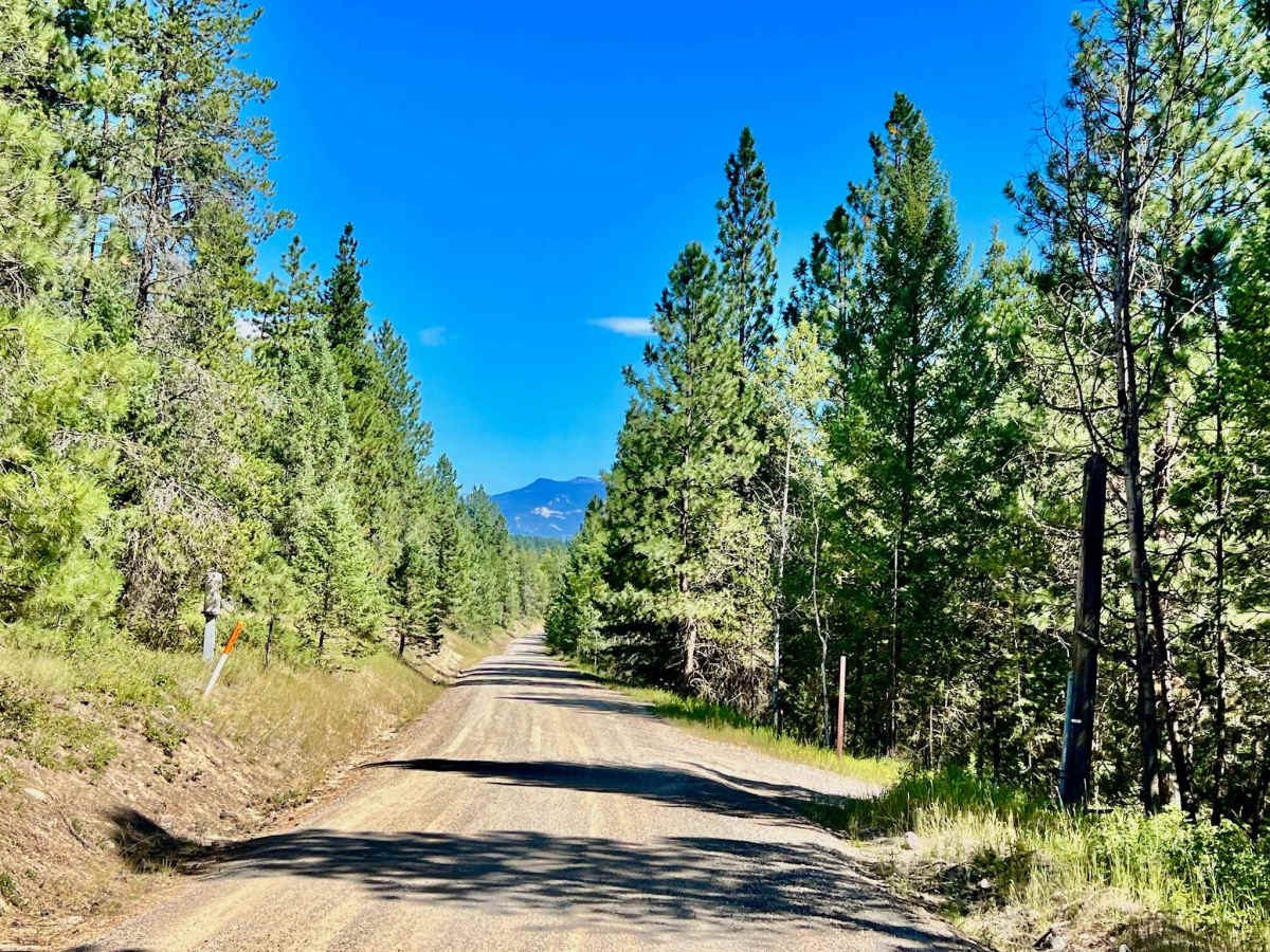 Wapiti Lake via Shelbourn photo 6