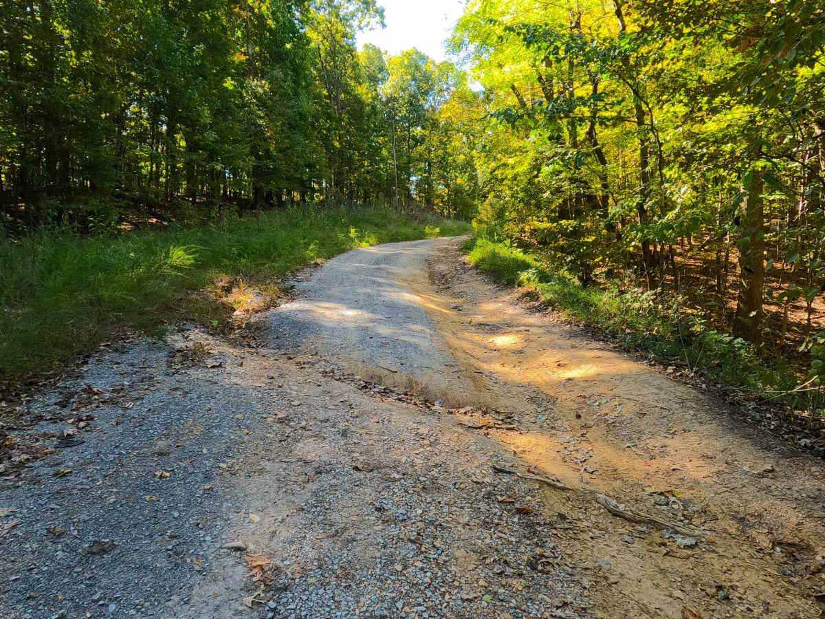 Shaw Branch - FS 154 photo 4