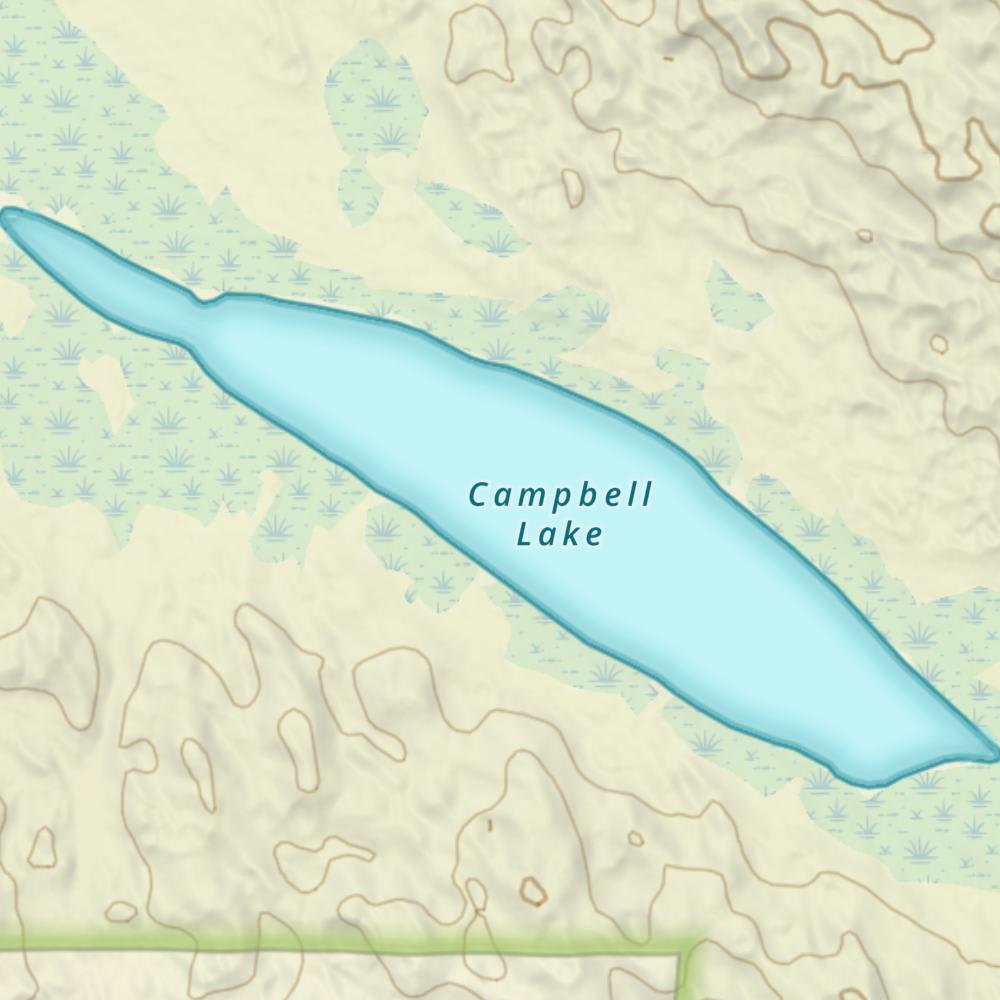 Campbell Lake photo