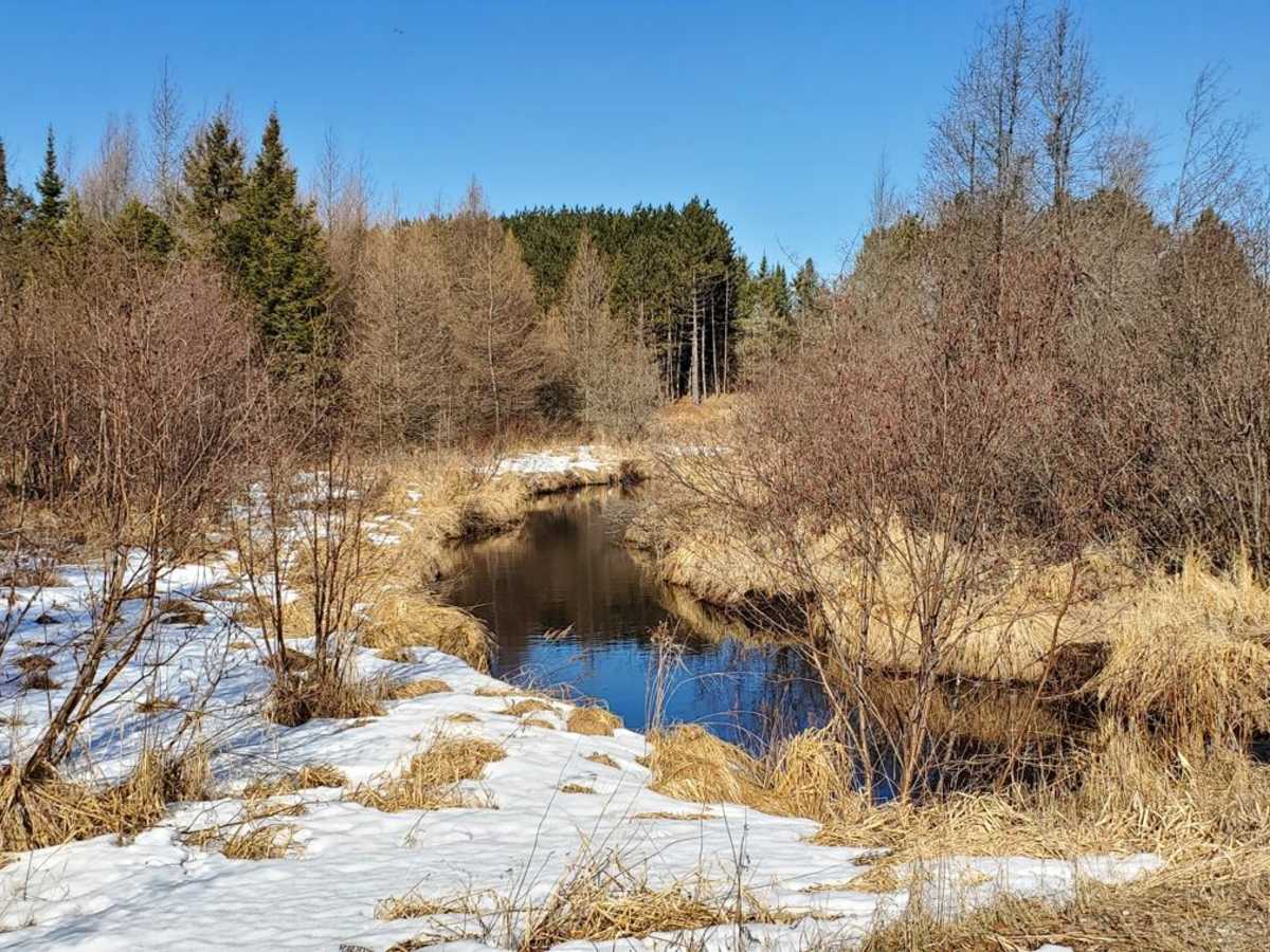 West Elcho trail photo