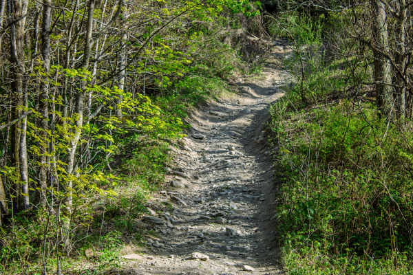 Pipeline Ridge