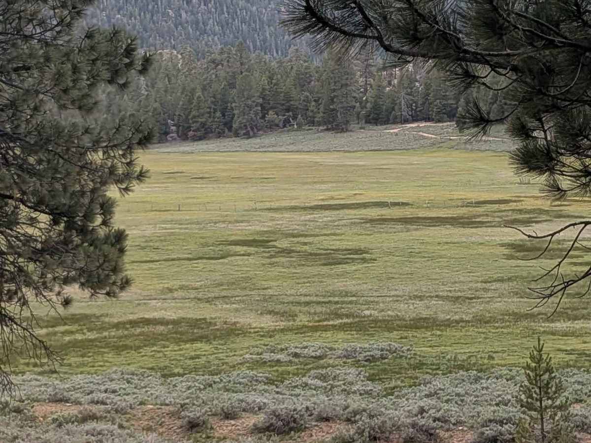 Big Meadow - FS 23S07 photo 6