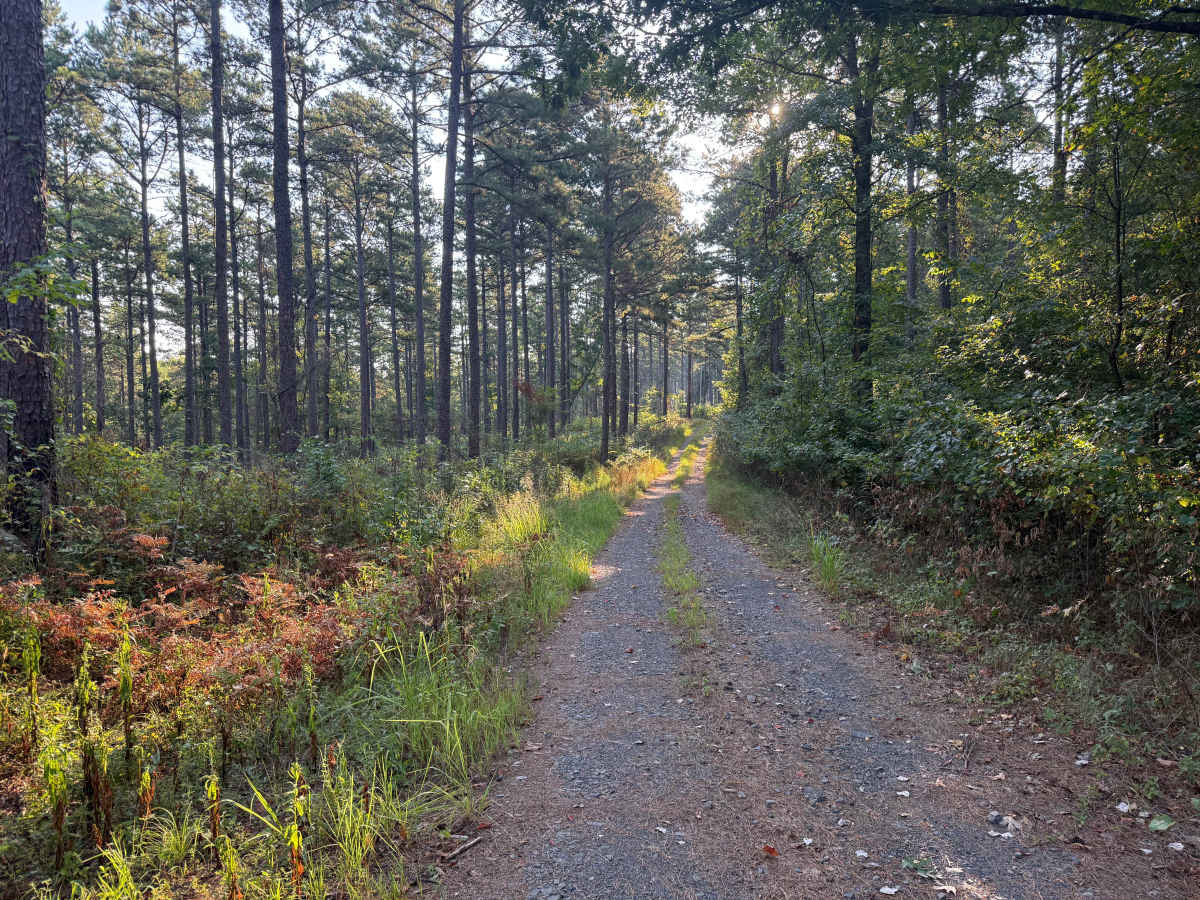 Flat Ridge  photo 5