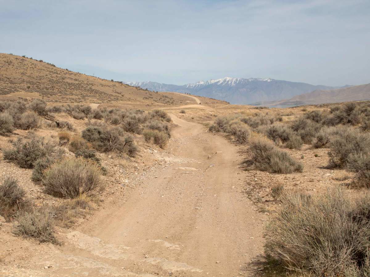 Little Moab Racetrack photo 6