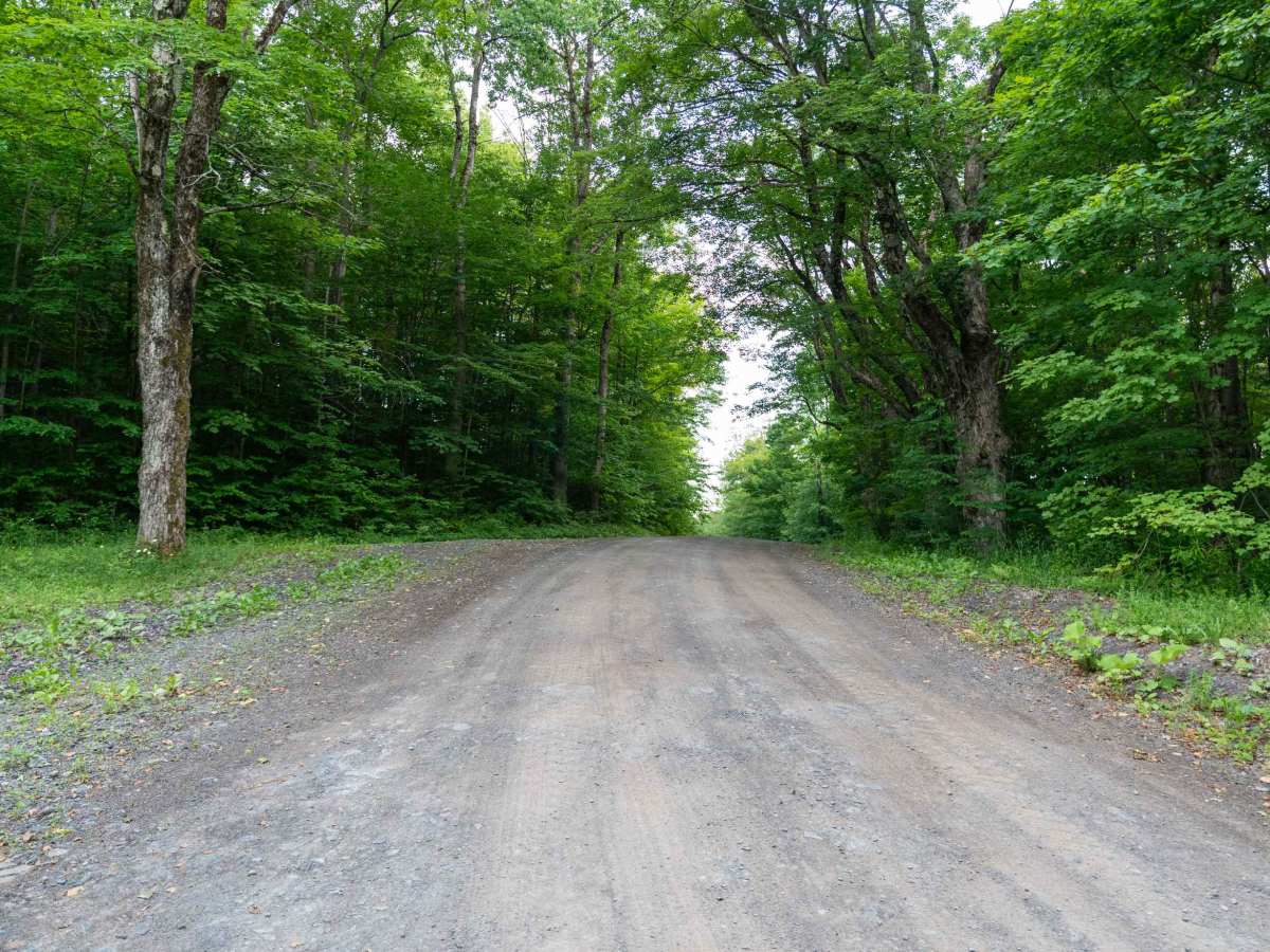 Truck Trail 12 trail photo
