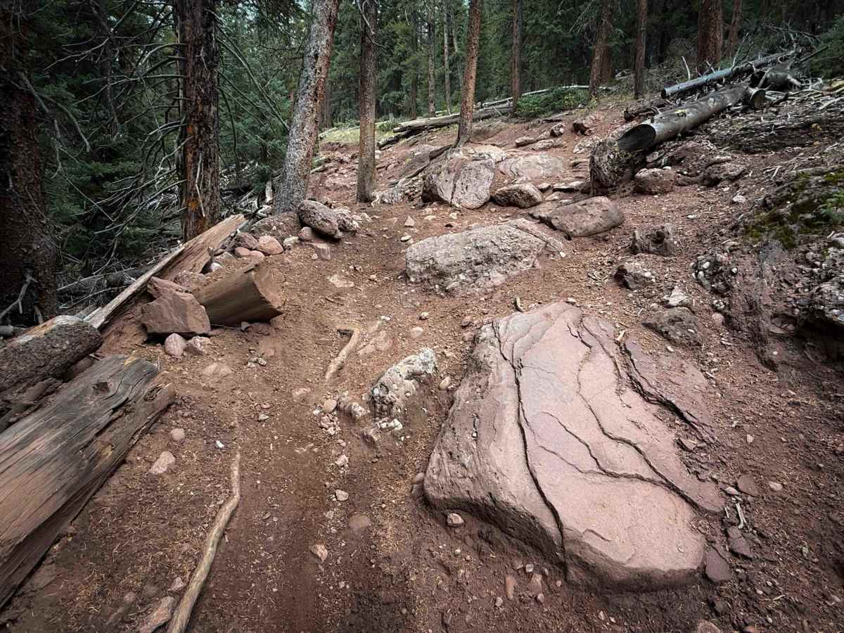 Bear Creek Trail South - FS 415 trail photo