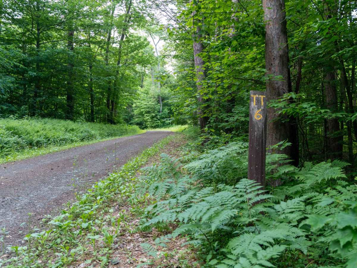 Truck Trail 6 trail photo