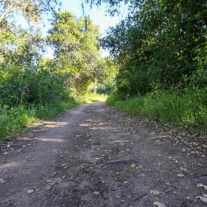 Near Waterfall Trail Near Waterfall Trail