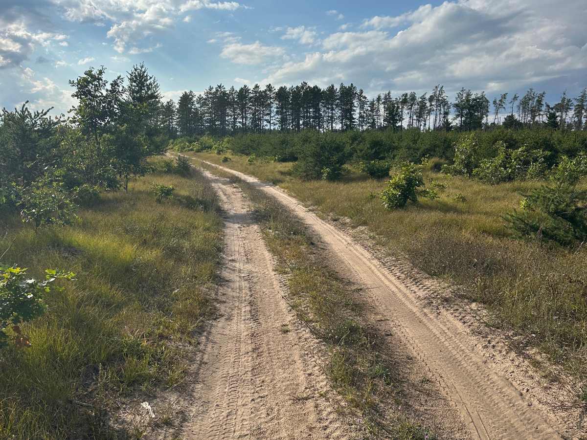 Otter Loop Around  photo 2