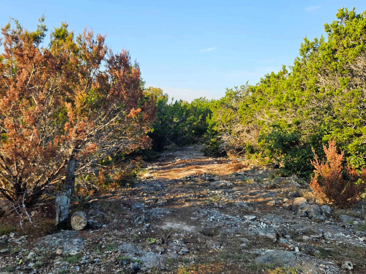 Rattlesnake Alley photo 2