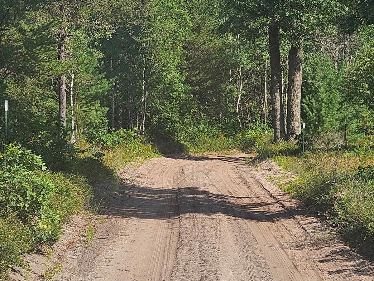 Bo's Trail photo 4