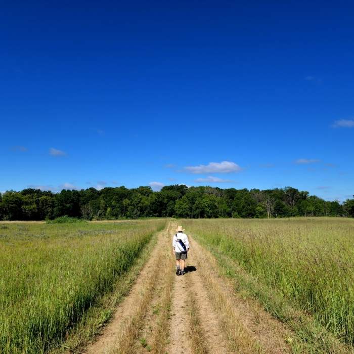 Crossing the prairie. Near Minnregs Lake Loop