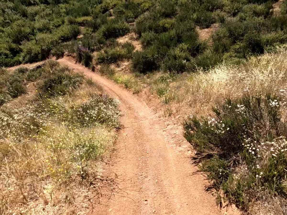 Spring OHV Trail photo 2