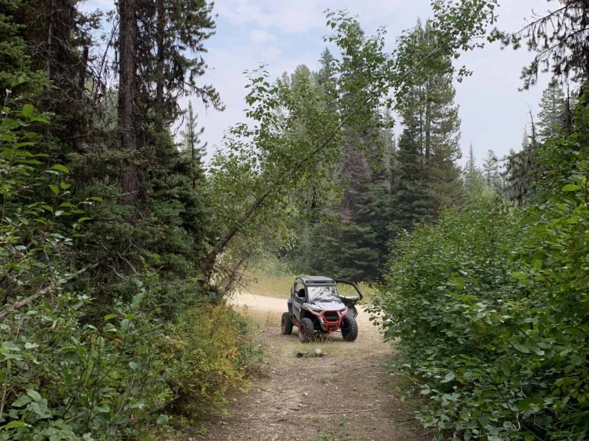 Sawmill Ridge Run photo 6