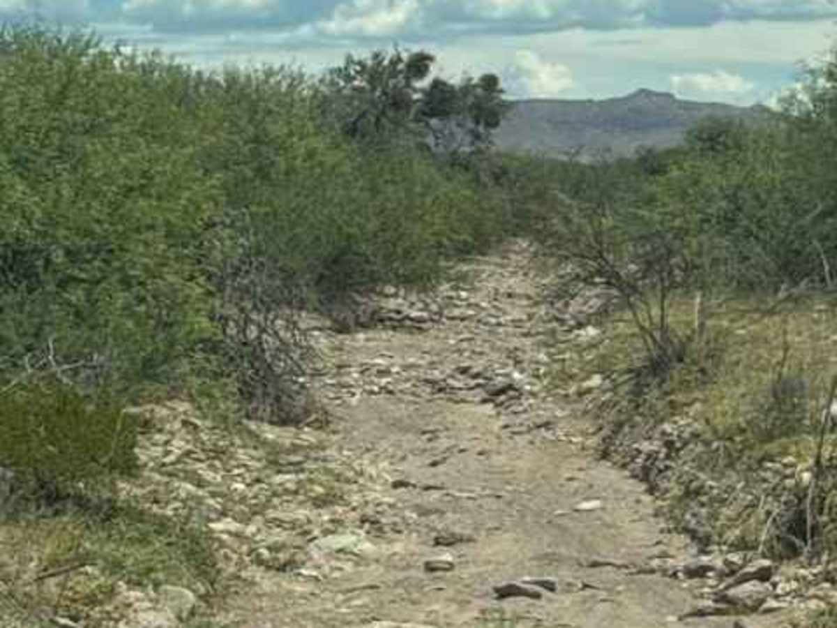 BLM SS1020F trail photo