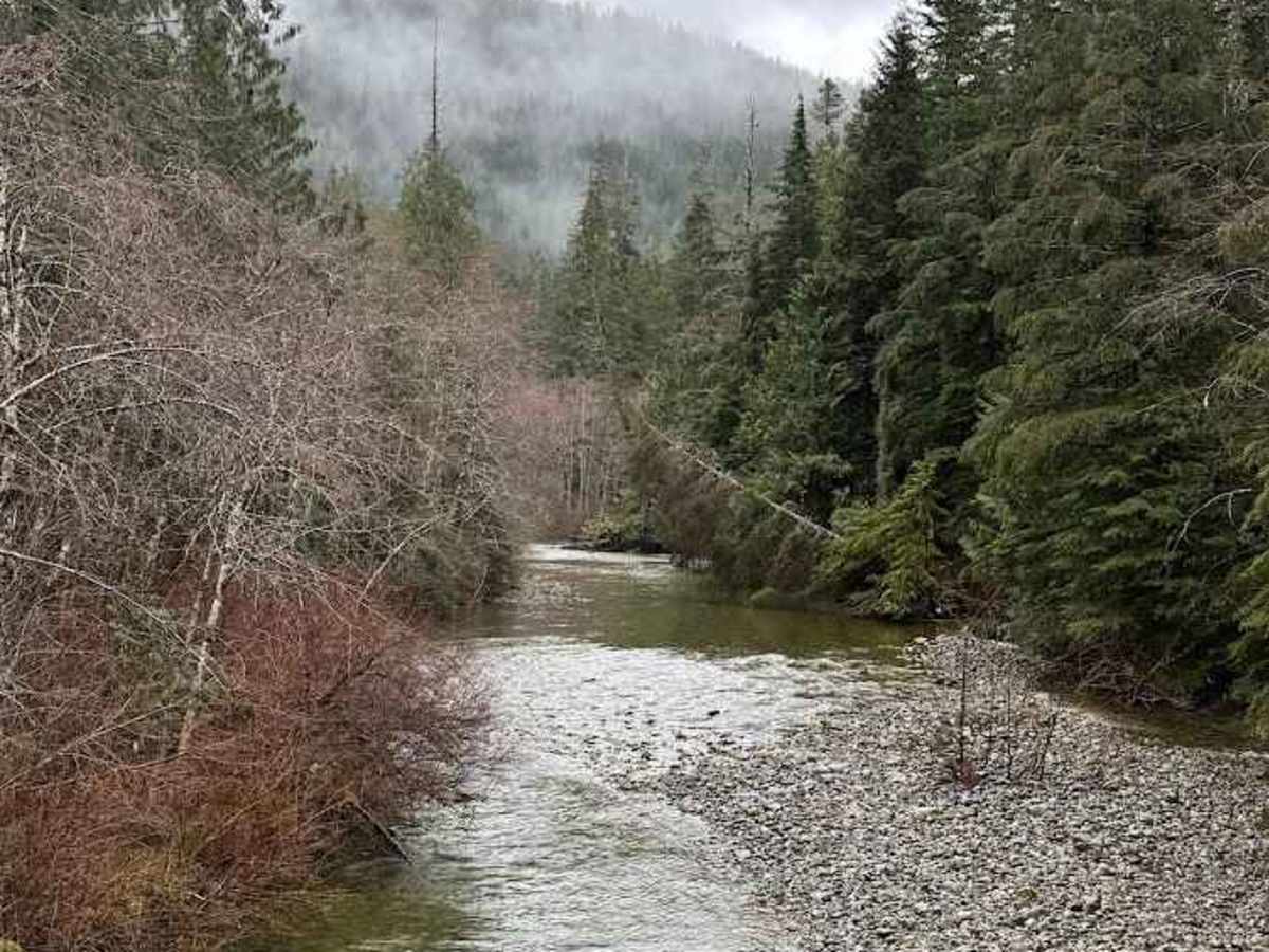 North Fork Road - FS 573 photo 2