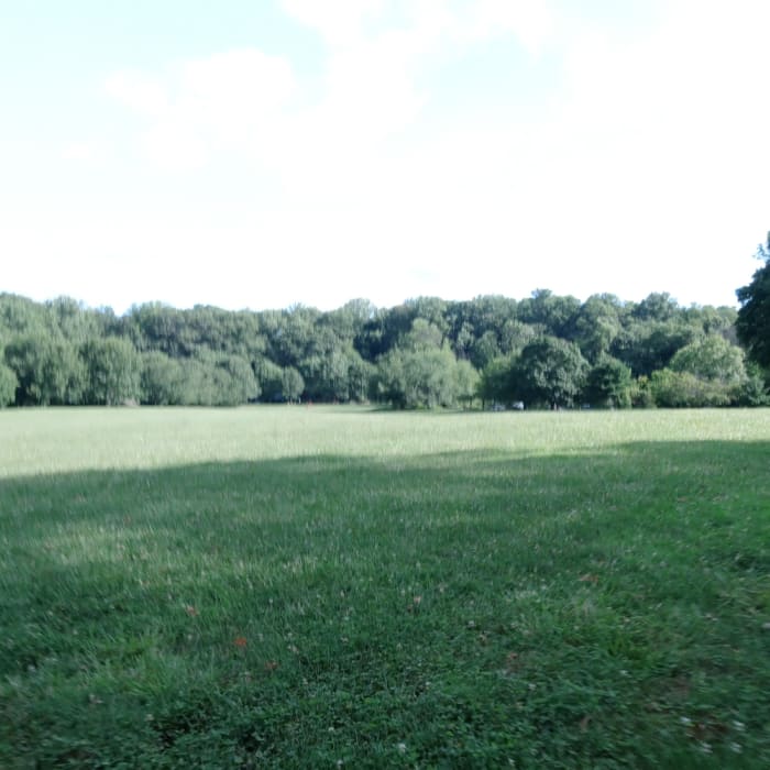 Near Holmdel Park X-Country Loop