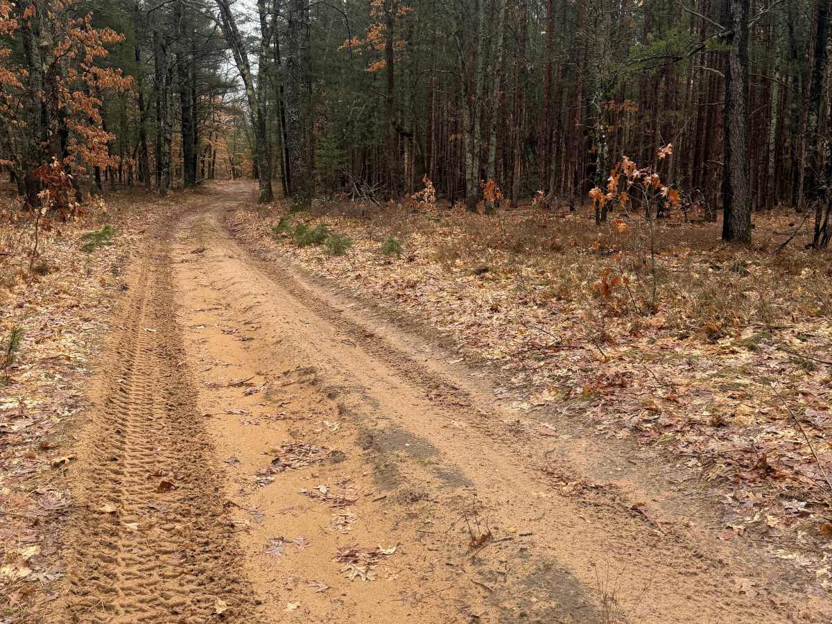 FS 8310 trail photo