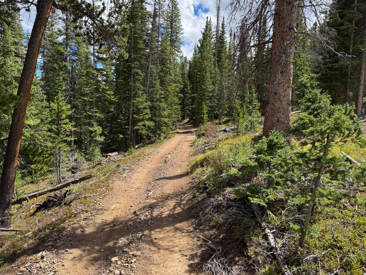 Georgia Gulch Road photo 2
