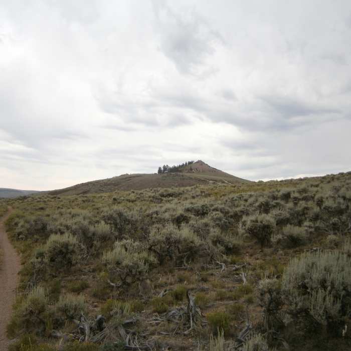 Near Ridgeline Trail
