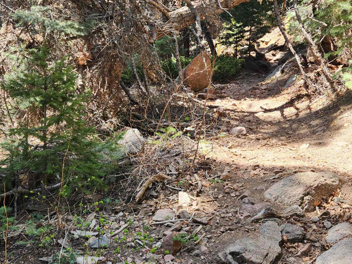 East Bear Trail photo 3