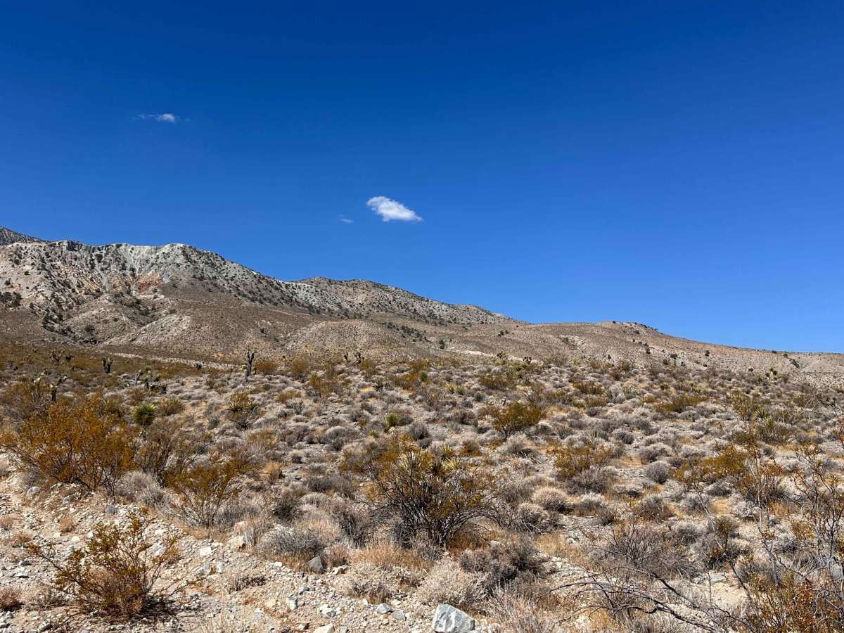 Haystack Trail photo 3