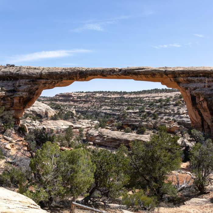 Near Owachomo Bridge Overlook