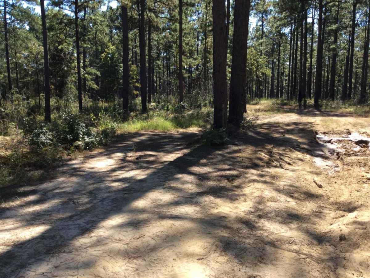Eastern Evangeline District Trail photo 6