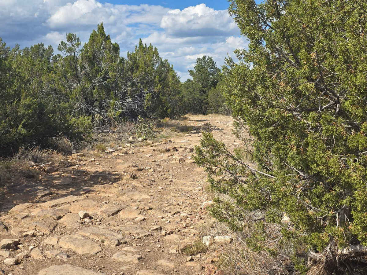 BLM 6101A trail photo