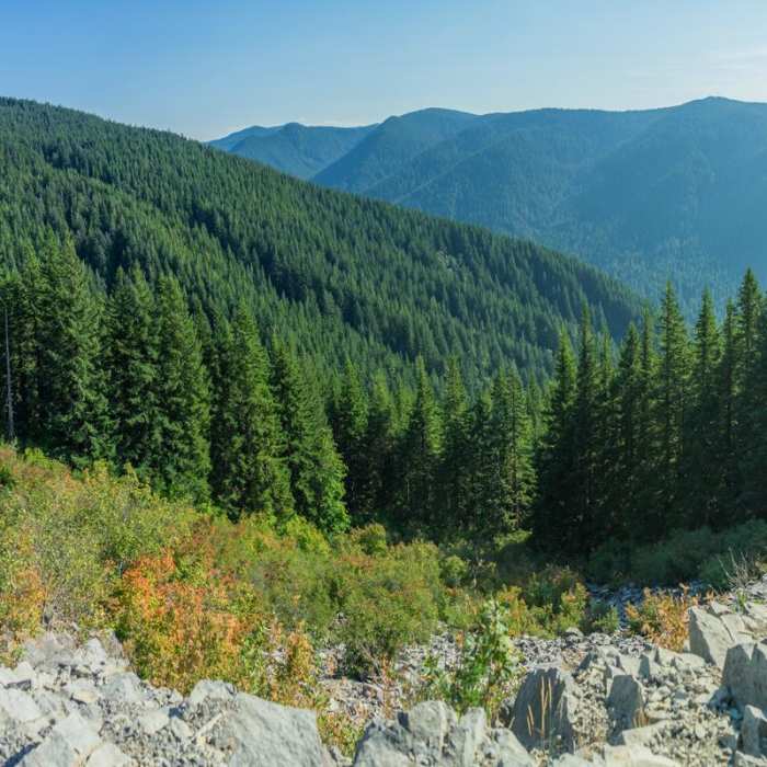 Near Wildcat Mountain via Douglas Trail