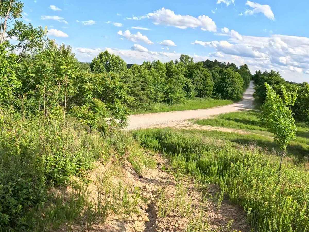Q26A trail photo