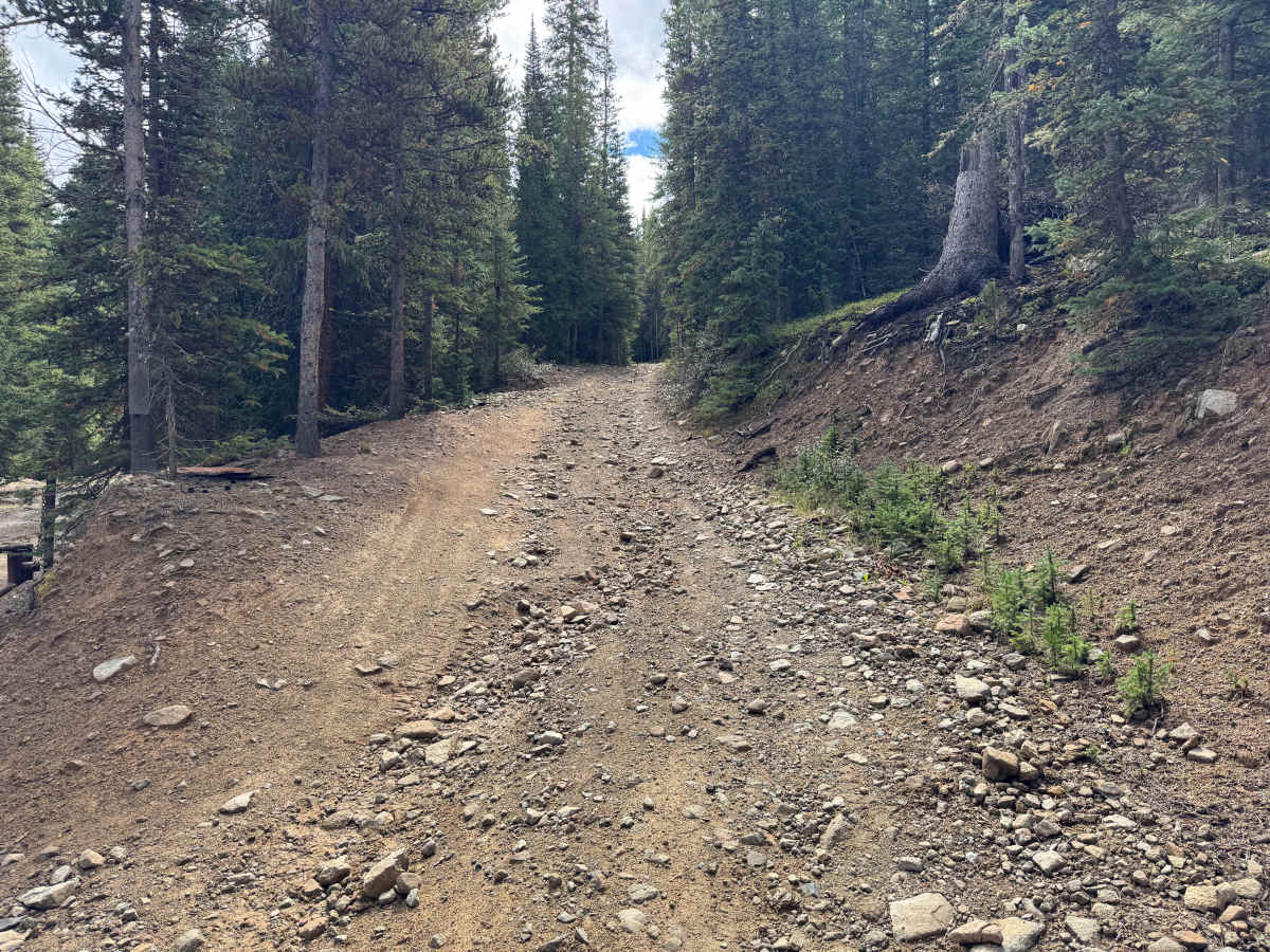 Sawmill Road trail photo