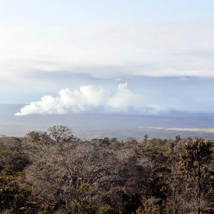 Near Mauna Loa Trail